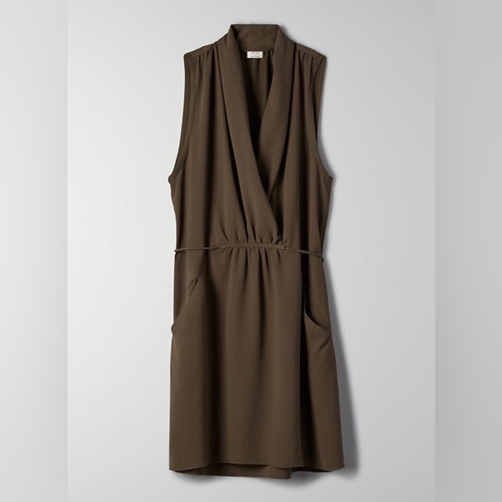 Aritzia Wilfred Sabine Dress